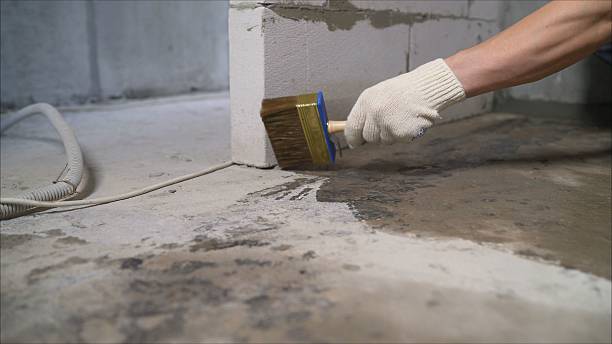 SJ Waterproofing Pros Waterproofing coverage map for Port Royal, SC and surrounding area